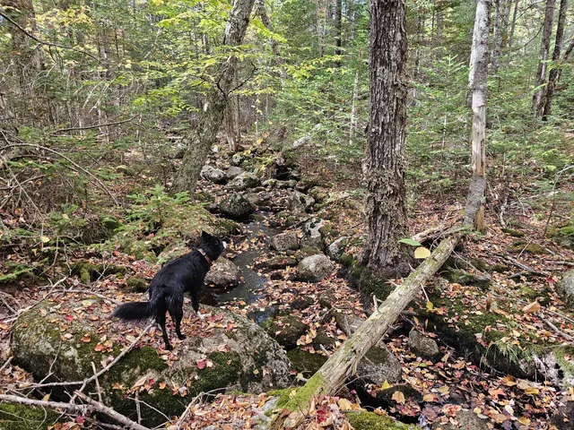 $450,000 | Green Green Field, Franklin, ME 04634