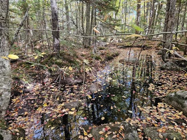 $450,000 | Green Green Field, Franklin, ME 04634