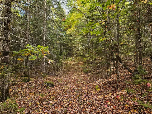 $450,000 | Green Green Field, Franklin, ME 04634