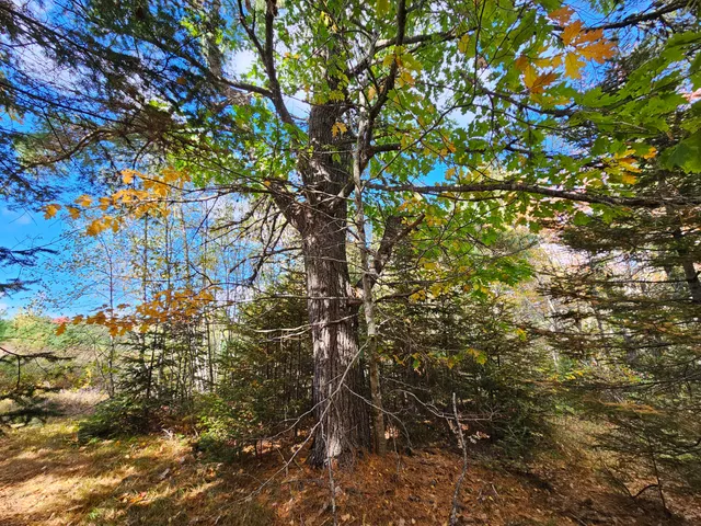 $450,000 | Green Green Field, Franklin, ME 04634