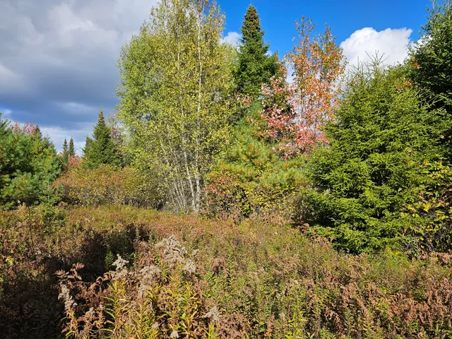 $450,000 | Green Green Field, Franklin, ME 04634