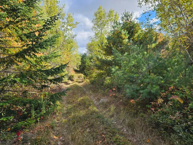 $450,000 | Green Green Field, Franklin, ME 04634