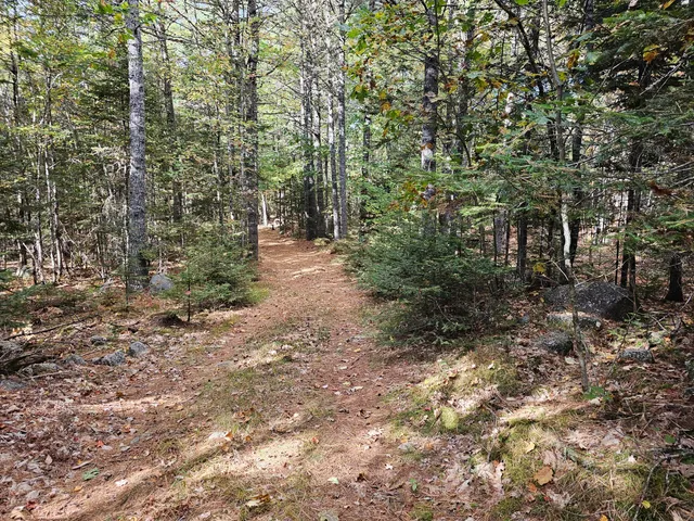 $450,000 | Green Green Field, Franklin, ME 04634