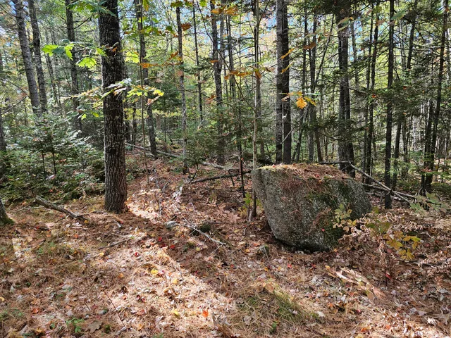 $450,000 | Green Green Field, Franklin, ME 04634