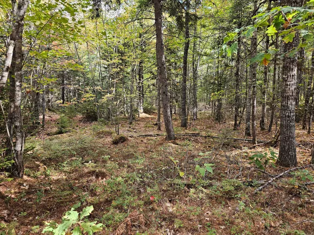 $450,000 | Green Green Field, Franklin, ME 04634