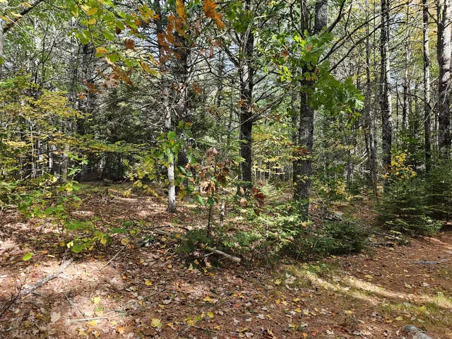 $450,000 | Green Green Field, Franklin, ME 04634