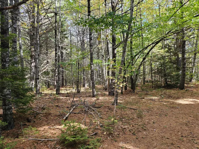 $450,000 | Green Green Field, Franklin, ME 04634