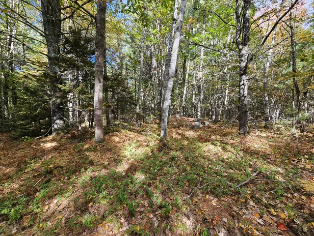 $450,000 | Green Green Field, Franklin, ME 04634