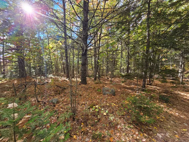 $450,000 | Green Green Field, Franklin, ME 04634