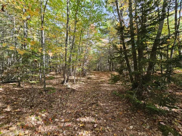 $450,000 | Green Green Field, Franklin, ME 04634