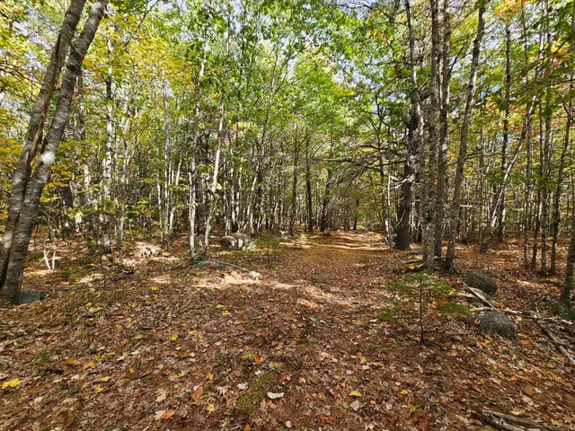 $450,000 | Green Green Field, Franklin, ME 04634