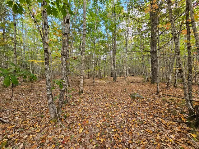 $450,000 | Green Green Field, Franklin, ME 04634