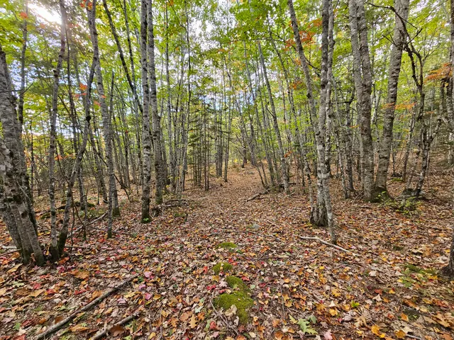 $450,000 | Green Green Field, Franklin, ME 04634