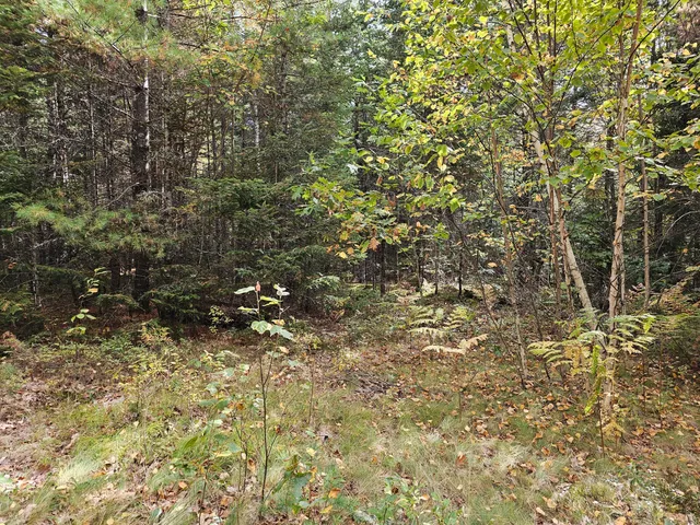 $450,000 | Green Green Field, Franklin, ME 04634