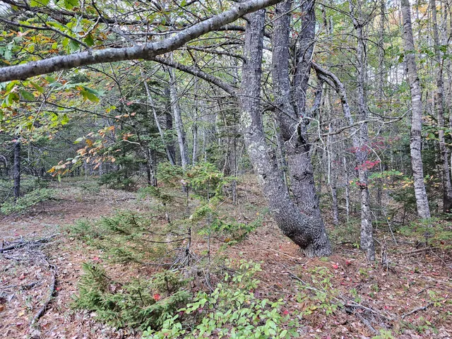 $450,000 | Green Green Field, Franklin, ME 04634