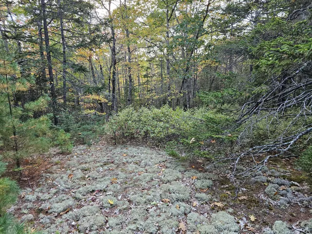 $450,000 | Green Green Field, Franklin, ME 04634