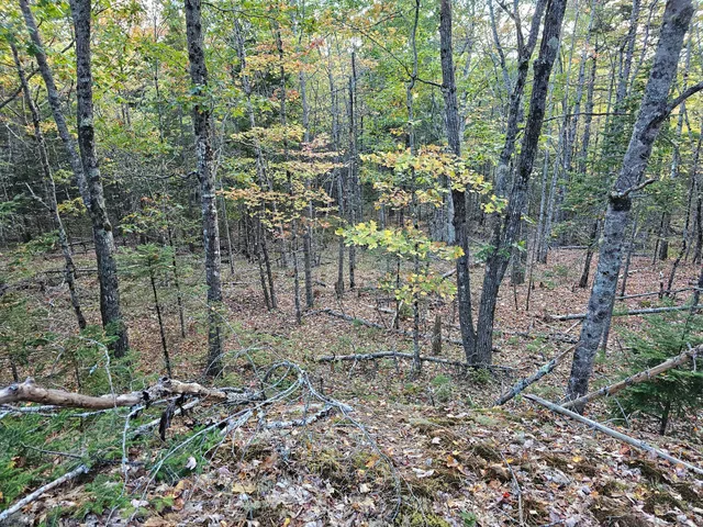 $450,000 | Green Green Field, Franklin, ME 04634