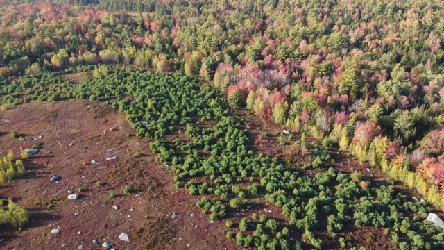 $450,000 | Green Green Field, Franklin, ME 04634