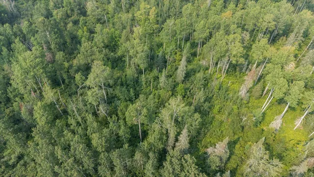 $120,000 | 42091 Highway 65, Nashwauk, MN 55769