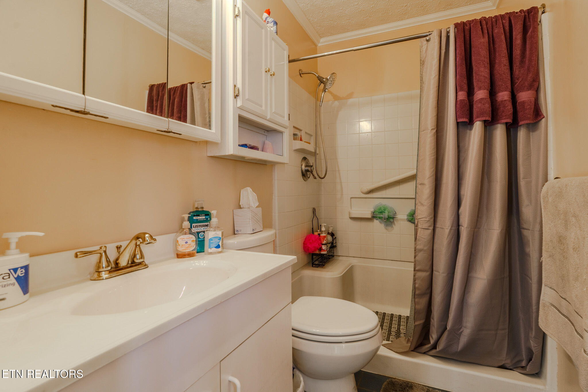 442 Eagleton Road Maryville, TN 37804 - Photo 10 of 26 11-web-or-mls-_DSC6056-HDR