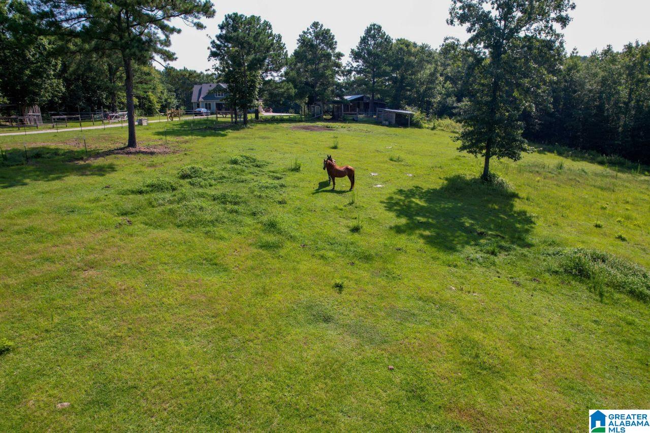 2370 Murphrees Valley Road Springville, AL 35146 - Photo 10 of 86