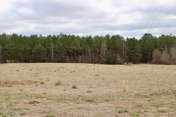 $235,000 | 3010 Plantation Lane, Liberty, MS 39645