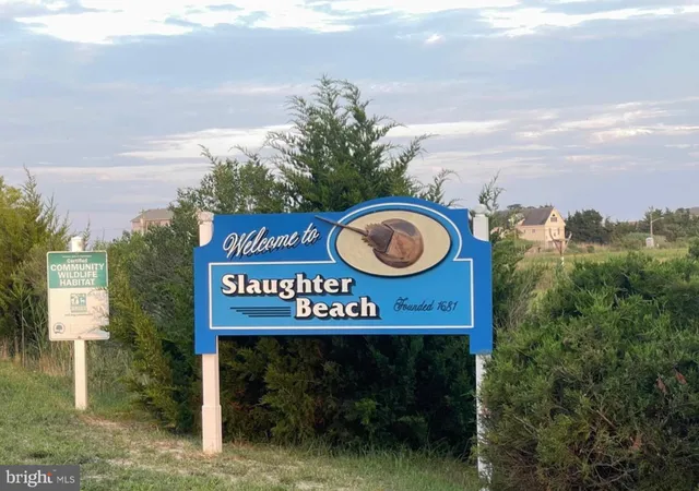 an aerial view of a house with a yard and lake view