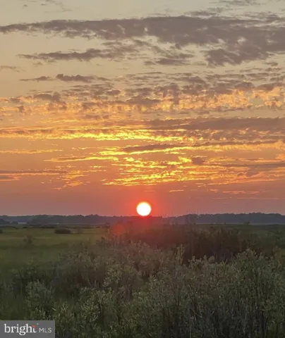 a view of a garden with an outdoor space