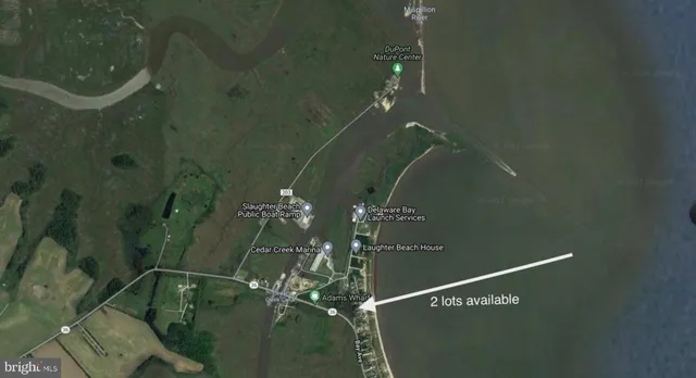 a view of a yard with plants