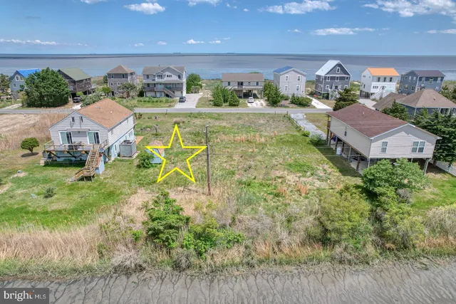 a view of a garden with an outdoor space