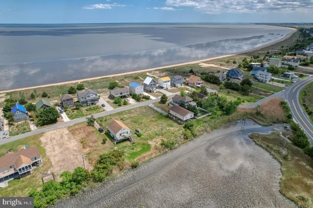 a view of a garden with an outdoor space