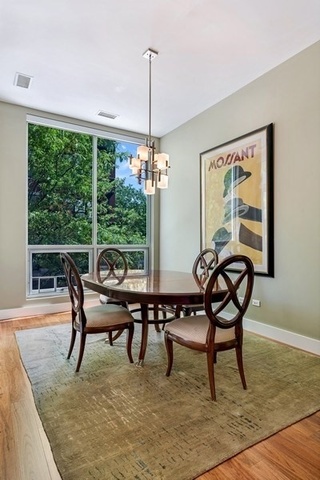 1100 West Adams Street, Unit 2N Chicago, IL 60607 - Photo 8 of 23