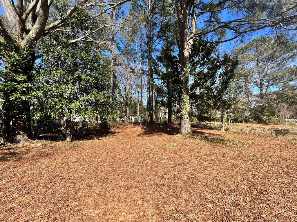 916 Aukland Street Raleigh, NC 27606 - Photo 29 of 30 Photo 29