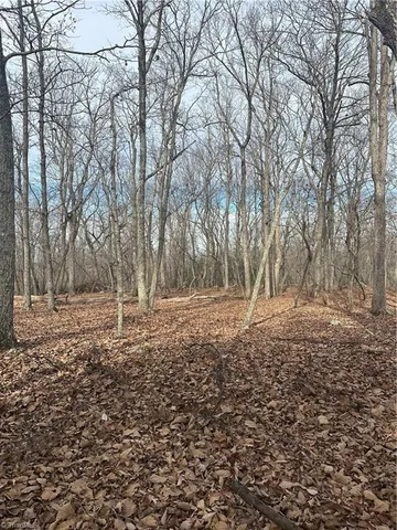 $39,000 | 1527 Sierra Trace Road, Denton, NC 27239