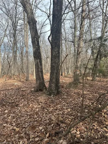 $39,000 | 1527 Sierra Trace Road, Denton, NC 27239