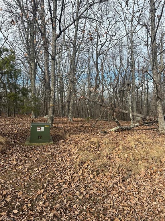 1527 Sierra Trace Road Denton, NC 27239 - Photo 4 of 15
