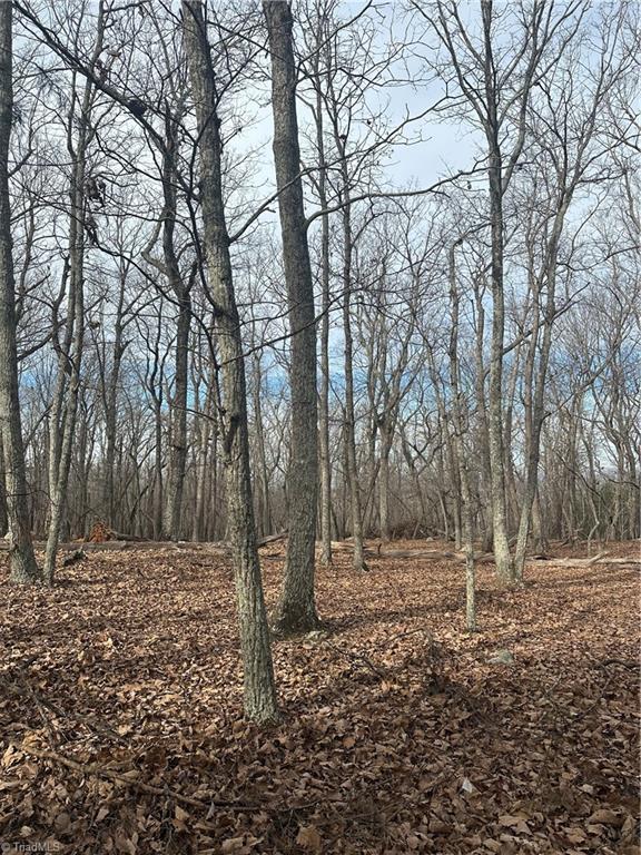1527 Sierra Trace Road Denton, NC 27239 - Photo 5 of 15