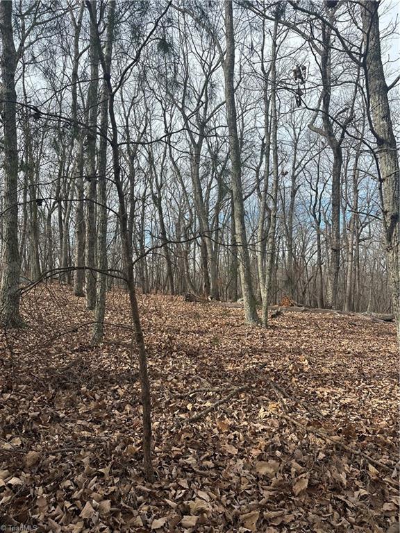 1527 Sierra Trace Road Denton, NC 27239 - Photo 6 of 15