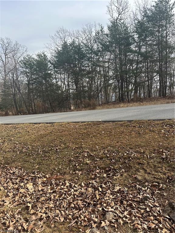 1527 Sierra Trace Road Denton, NC 27239 - Photo 8 of 15