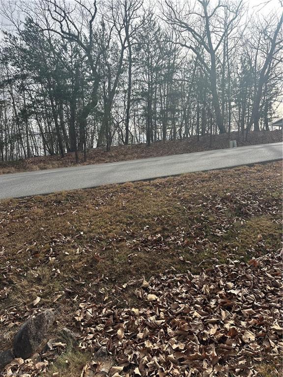 1527 Sierra Trace Road Denton, NC 27239 - Photo 9 of 15