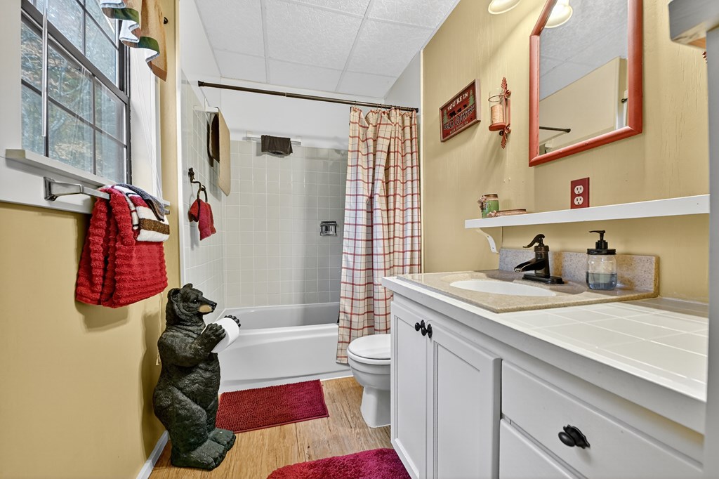 654 Stover Knob Trail Cherry Log, GA 30522 - Photo 18 of 44 a bathroom with a sink a toilet and shower