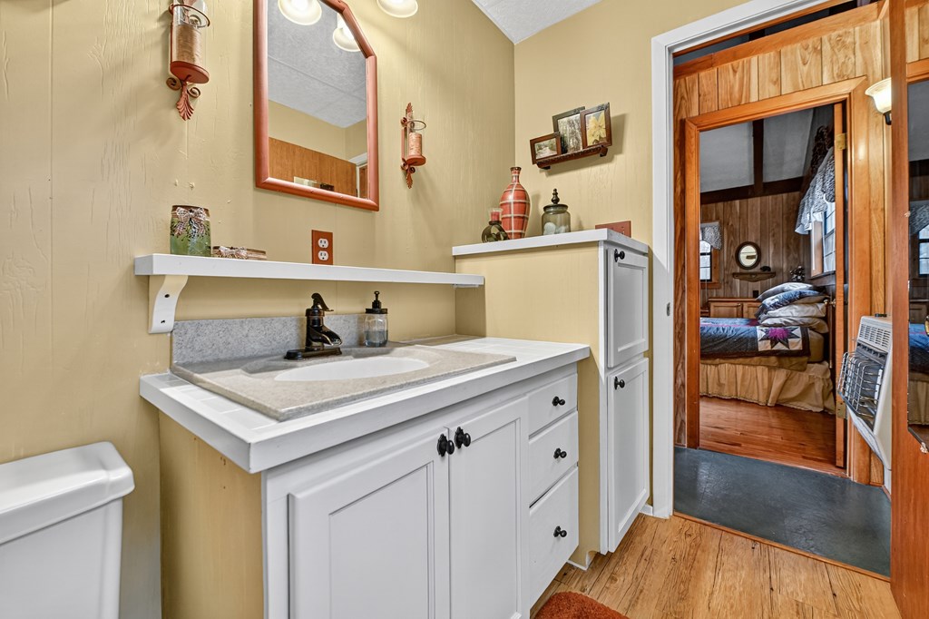 654 Stover Knob Trail Cherry Log, GA 30522 - Photo 19 of 44 a bathroom with a sink and a mirror