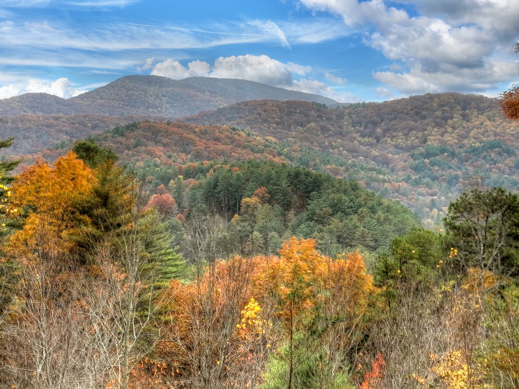 654 Stover Knob Trail Cherry Log, GA 30522 - Photo 2 of 44