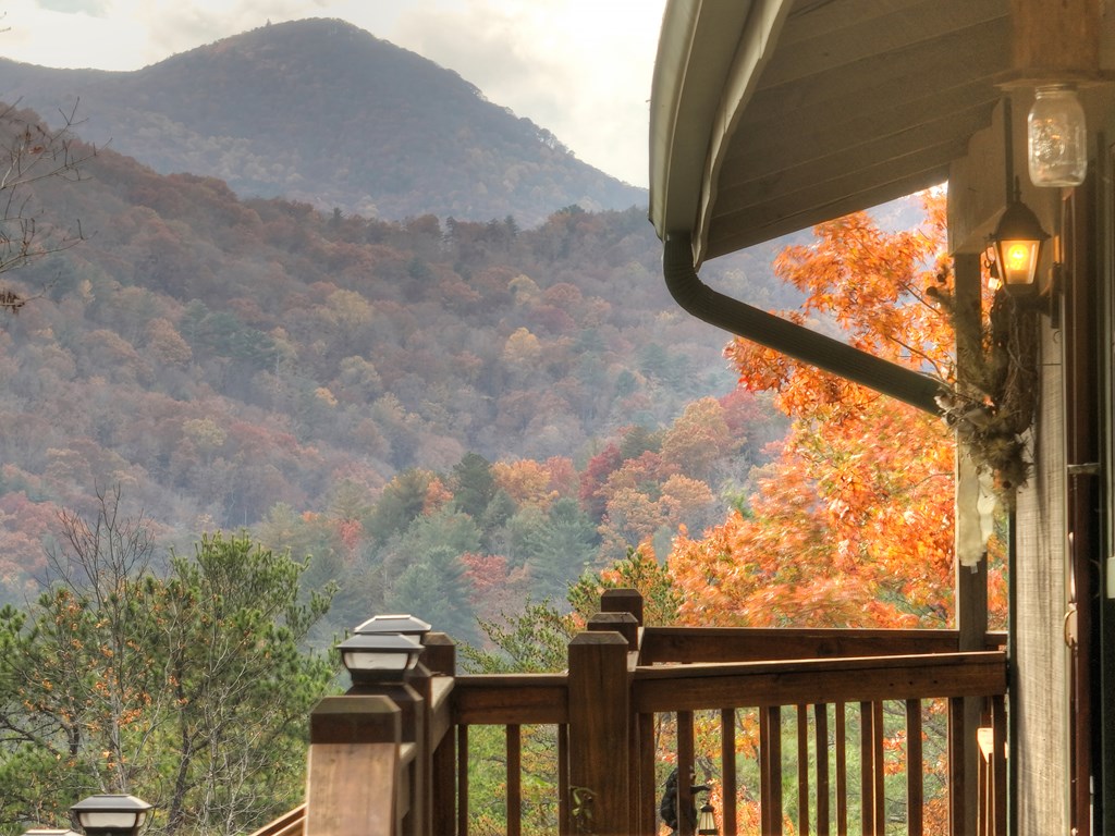 654 Stover Knob Trail Cherry Log, GA 30522 - Photo 27 of 44 a view of a outdoor space
