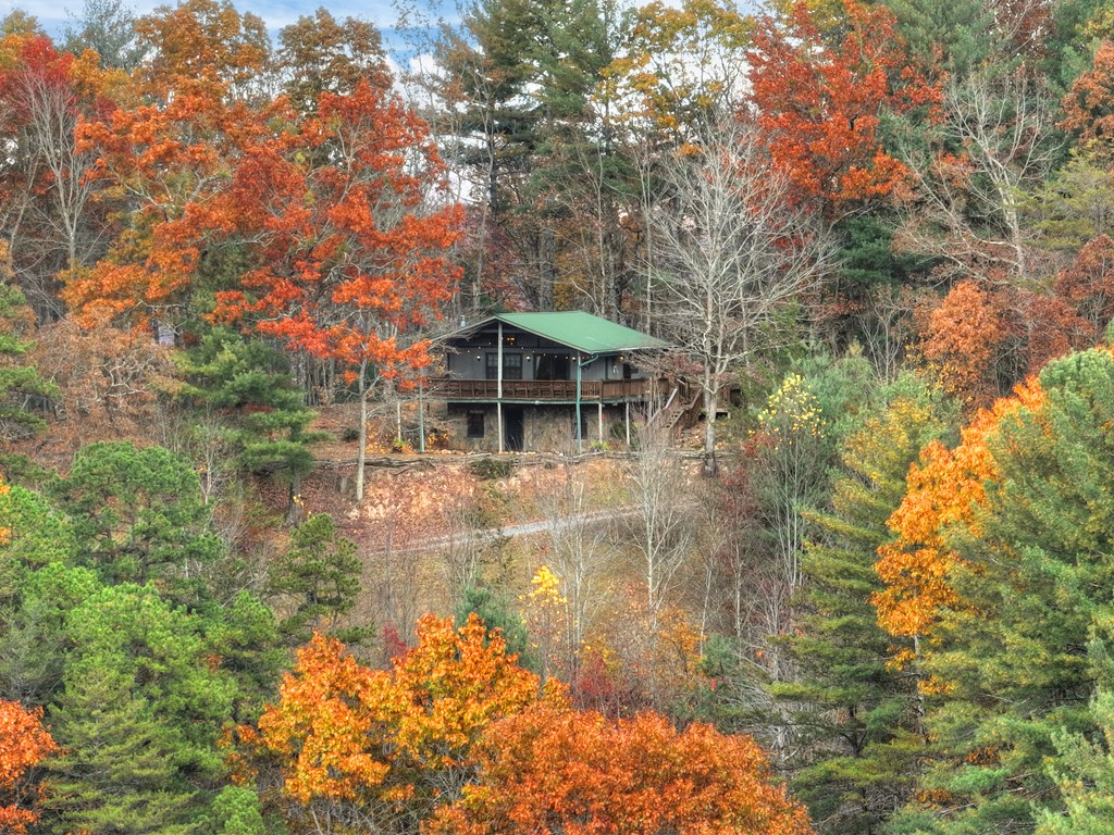 654 Stover Knob Trail Cherry Log, GA 30522 - Photo 34 of 44 a view of a lake view