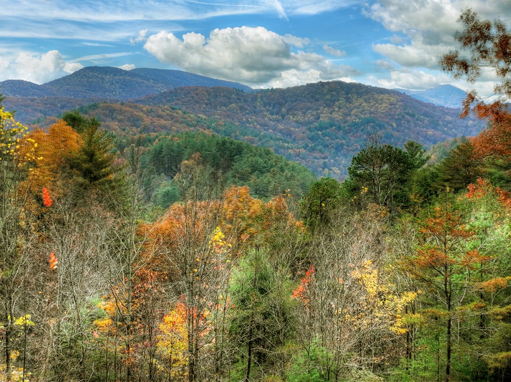 654 Stover Knob Trail Cherry Log, GA 30522 - Photo 40 of 44 a view of a lake with a mountain in the background