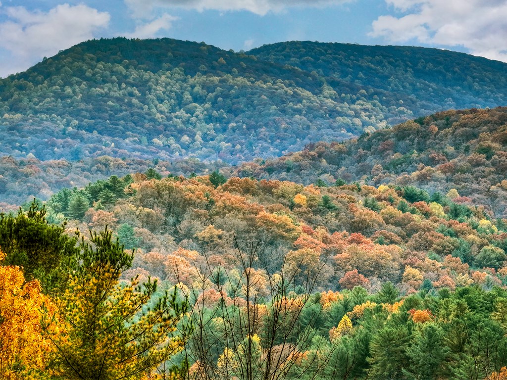 654 Stover Knob Trail Cherry Log, GA 30522 - Photo 42 of 44 a view of a field