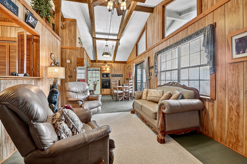 654 Stover Knob Trail Cherry Log, GA 30522 - Photo 8 of 44