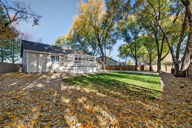 a view of a yard with plants and trees
