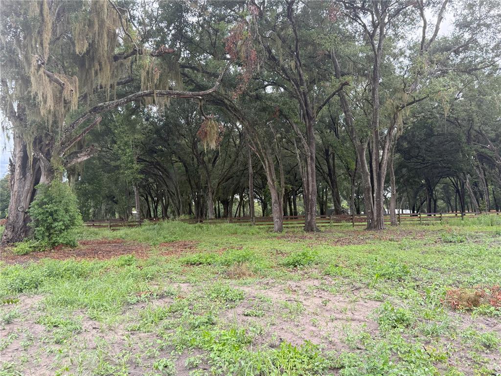 890 Grand Rondo West Crescent City, FL 32112 - Photo 5 of 24